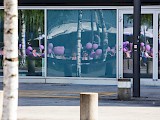 PINK YOGA-Event von EDS vom 11. Juni 2015