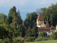 Entdeckungen mit Krebs