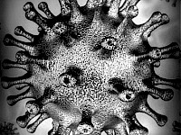 Recommandations et suggestions pour patientes avec cancer du sein durant la pandémie du COVID-19